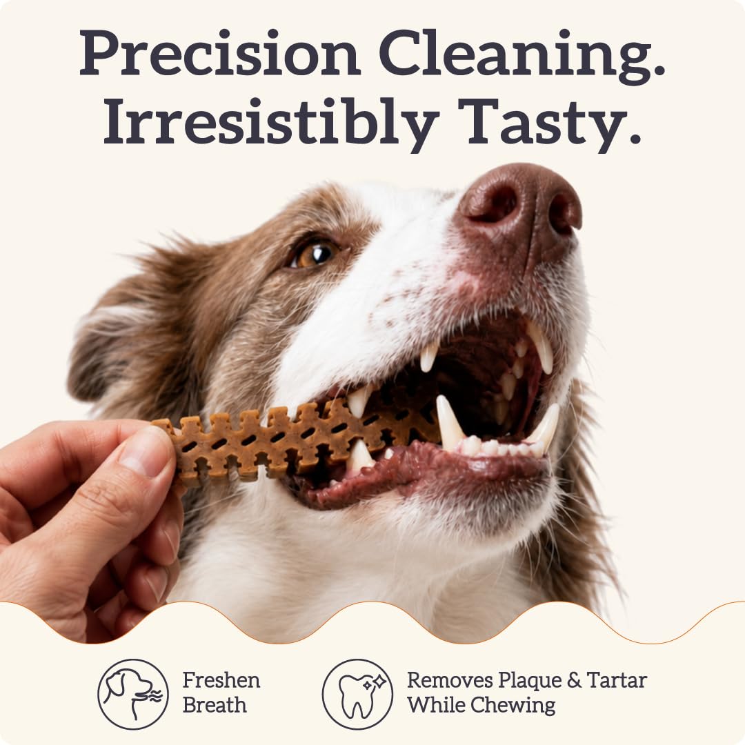 Large Dog Dental Chews, 25-50 lbs, 27Ct L30784