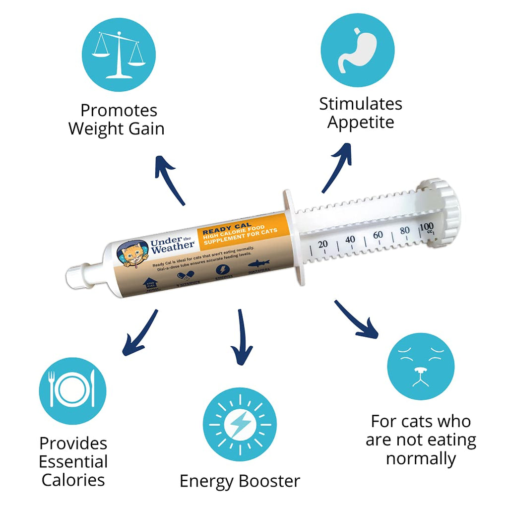 High Calorie Cat Supplement with Vitamins Minerals Omega Fatty Acids H55291