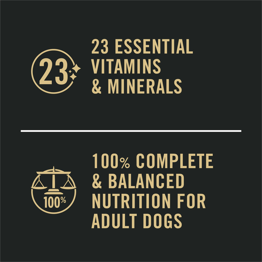 Sensitive Skin & Stomach Wet Dog Food Salmon 13 oz N414282