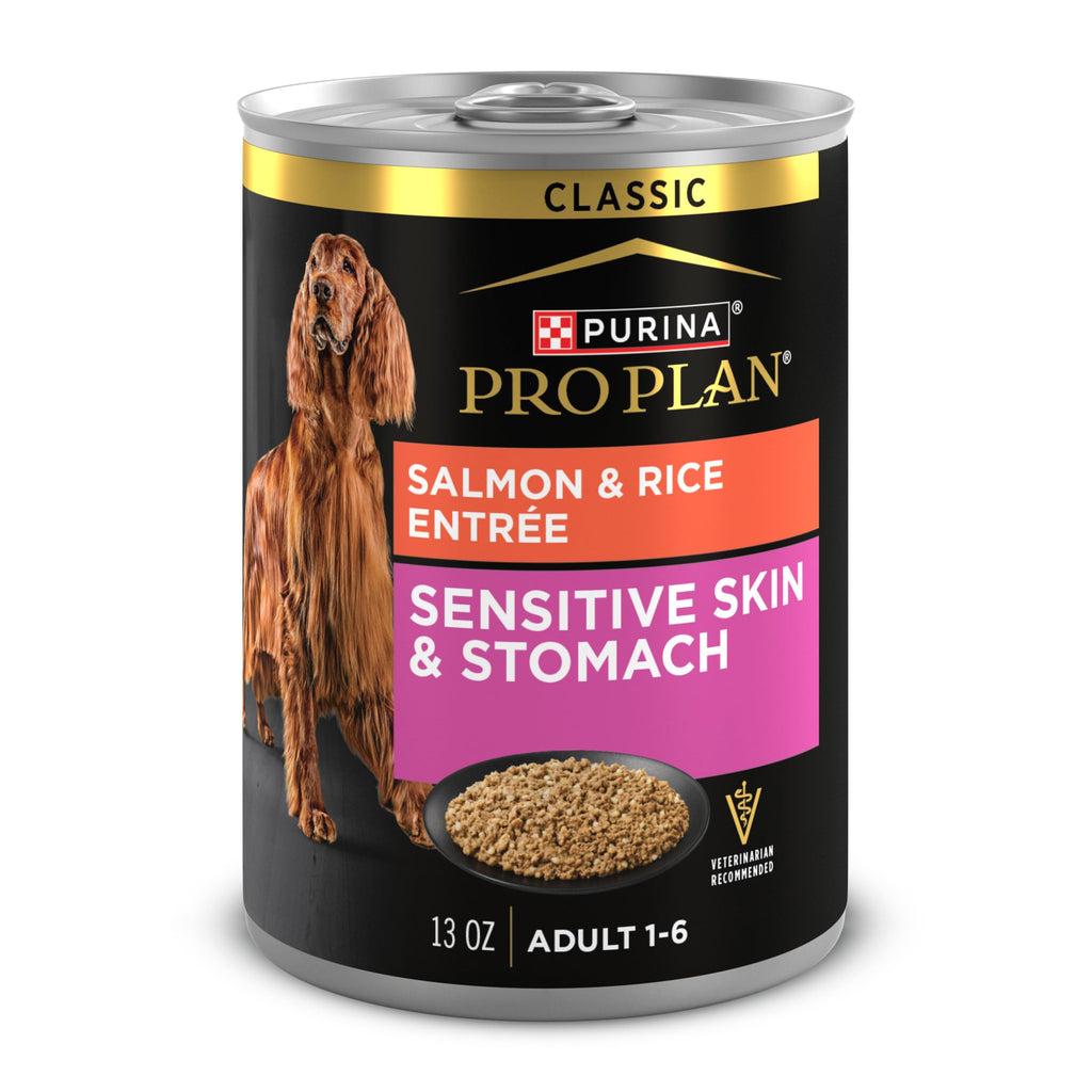 Sensitive Skin & Stomach Wet Dog Food Salmon 13 oz N414282