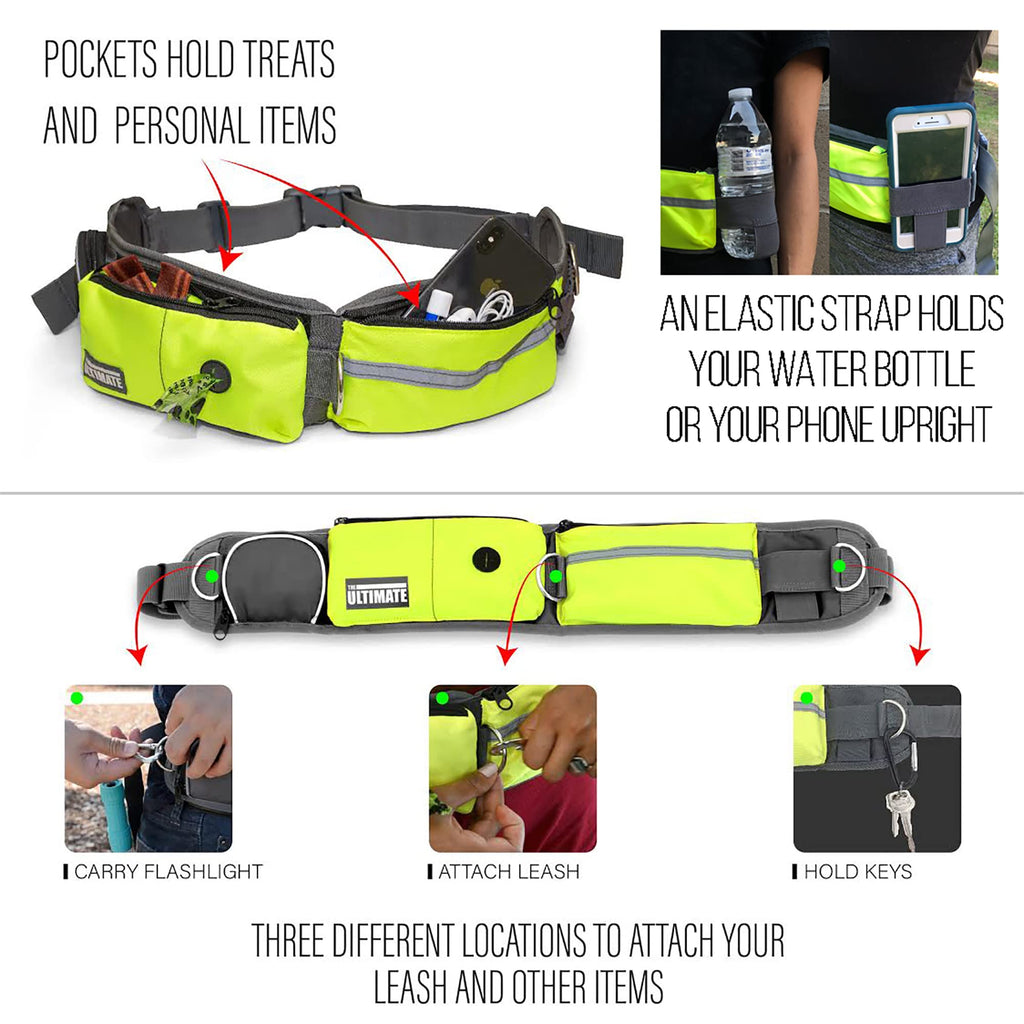 Hands Free Dog Leash with Reflective Bungee, Treat Holder, Poop Bag Dispenser S715487