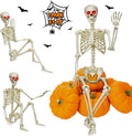5.4Ft Posable Skeleton J5895