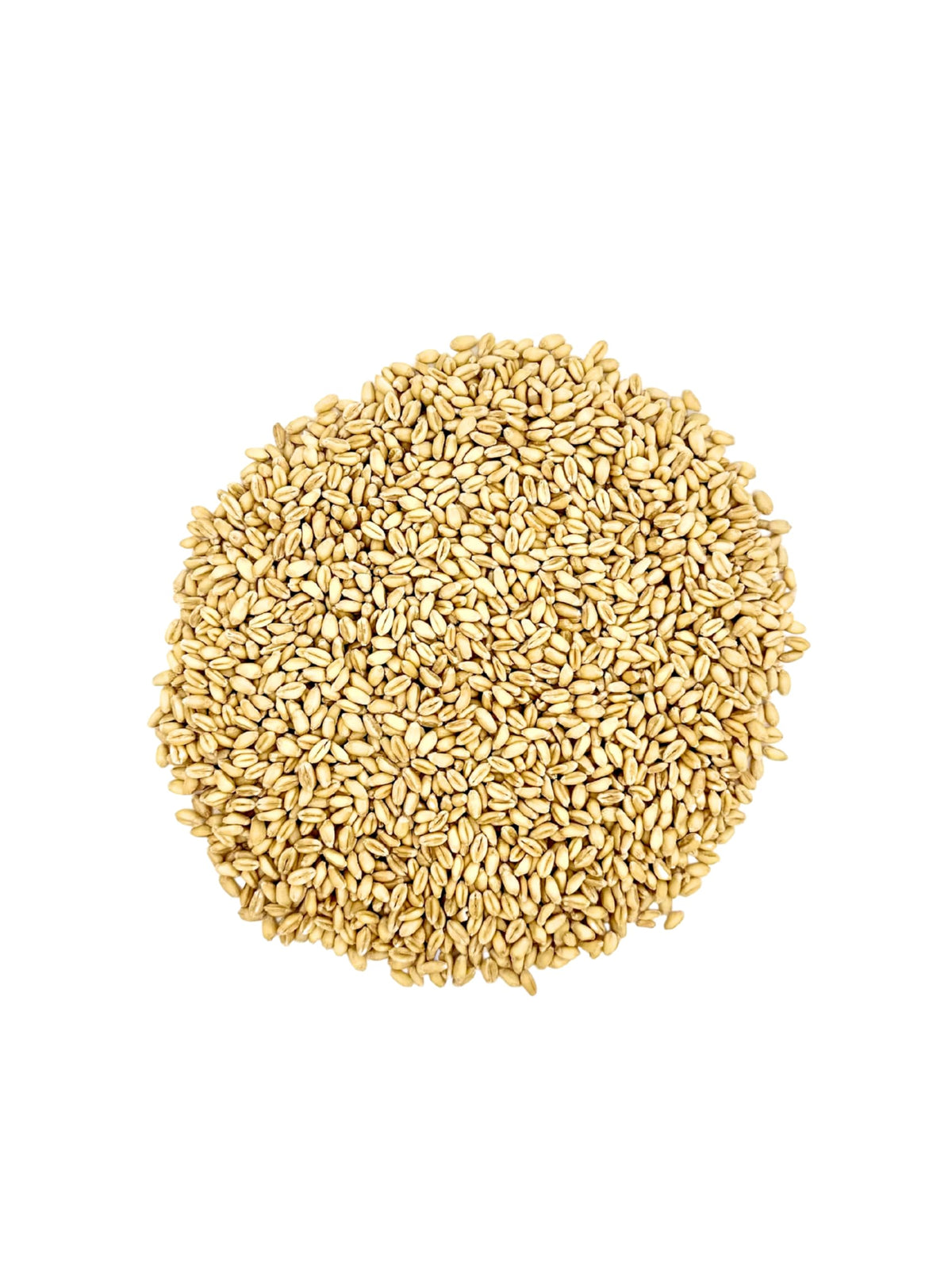 Soft White Wheat Berries 23 lbs Non-GMO T857652