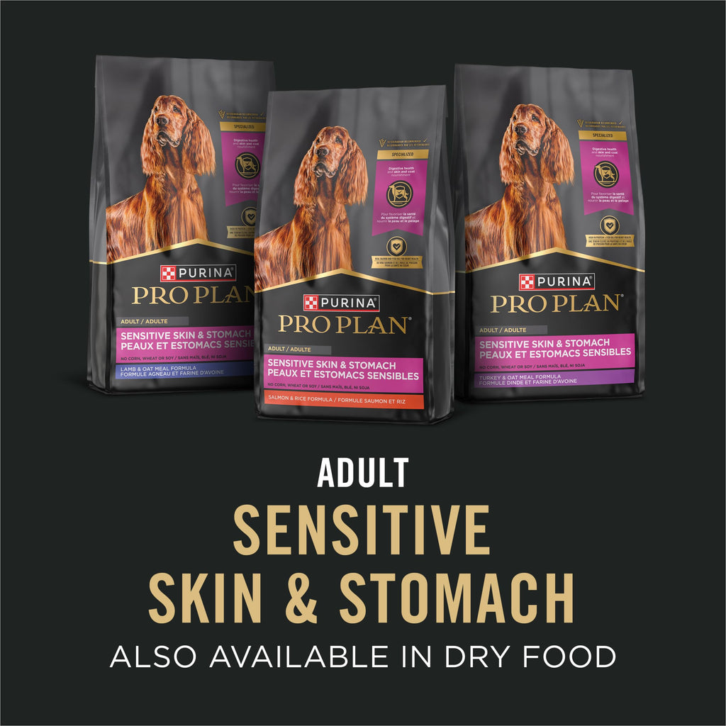 Sensitive Skin & Stomach Wet Dog Food Salmon 13 oz N414282