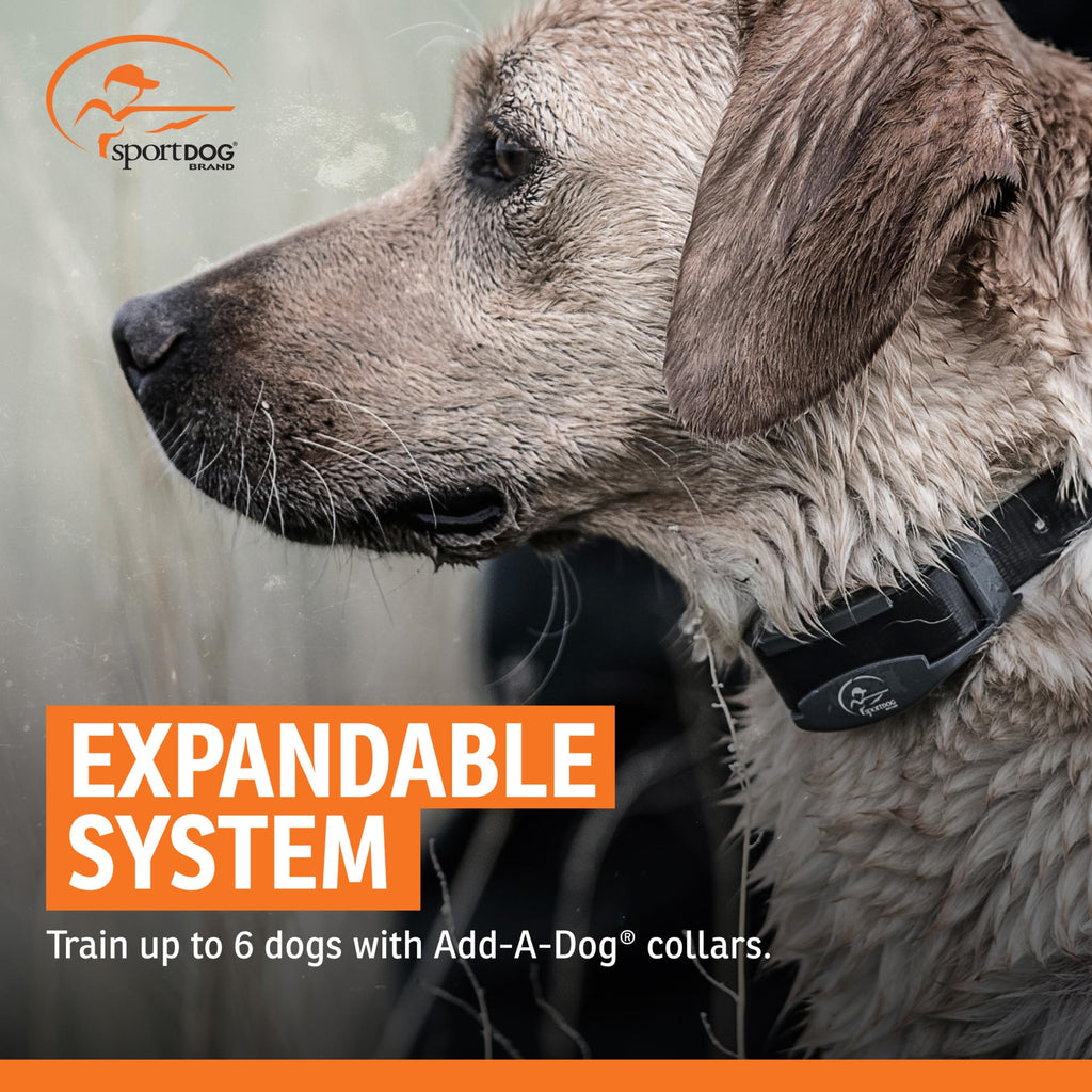 Add-A-Dog Waterproof Collar W845496