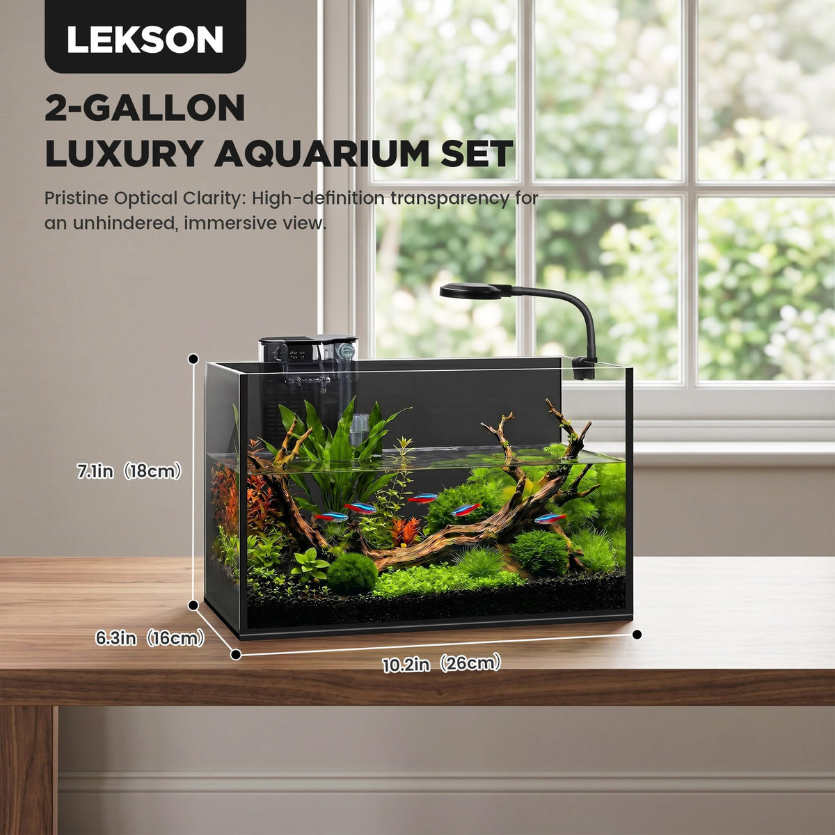 2 Gallon Fish Tank with Light and Filter B4044