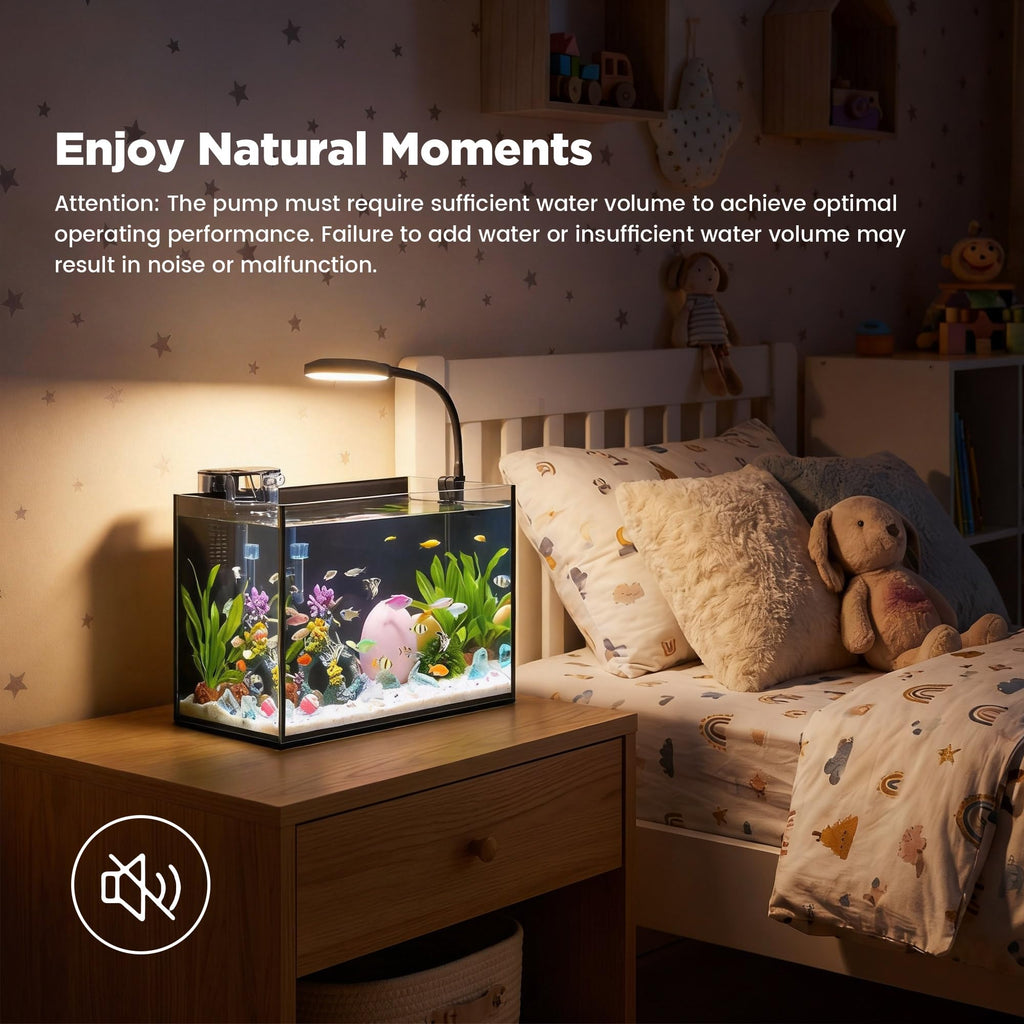 2 Gallon Fish Tank with Light and Filter B4044