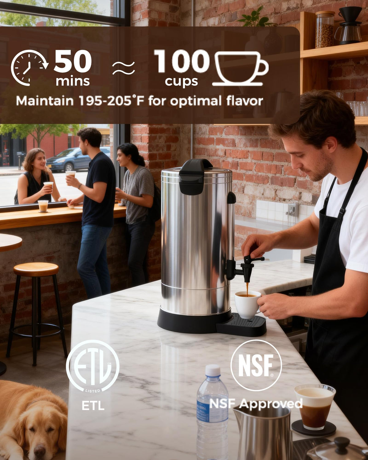 1500W 100 Cup Stainless Steel Commercial Coffee Urn T41894