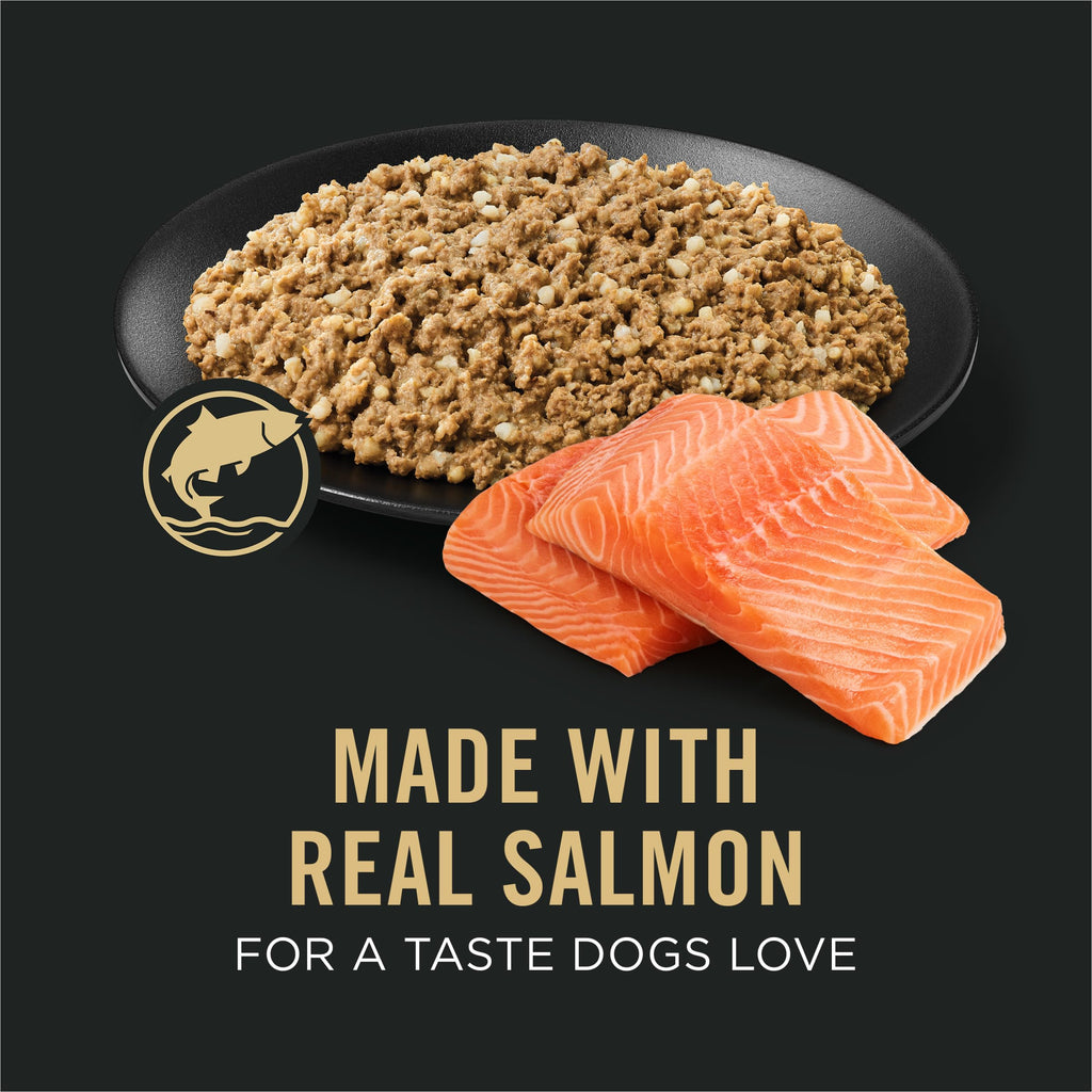 Sensitive Skin & Stomach Wet Dog Food Salmon 13 oz N414282