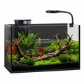 2 Gallon Fish Tank with Light and Filter B4044