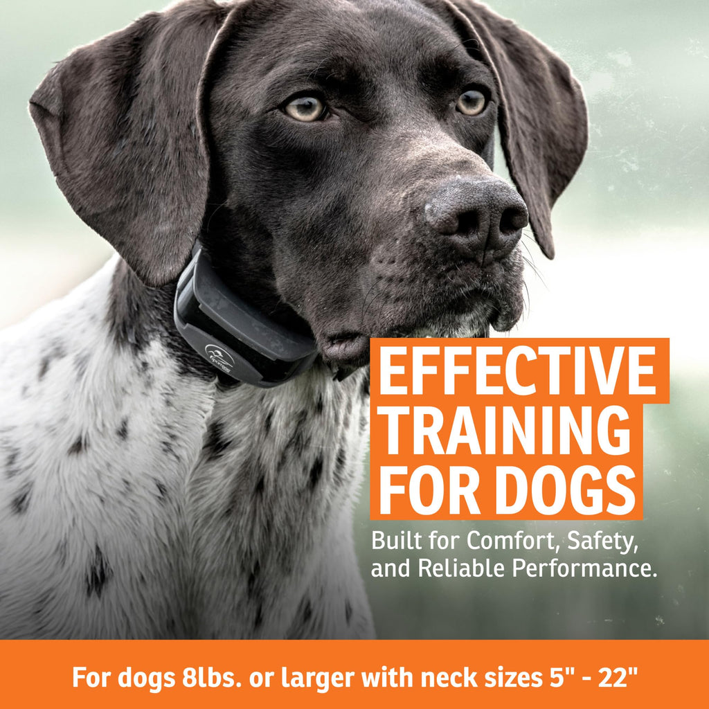 Add-A-Dog Waterproof Collar W845496