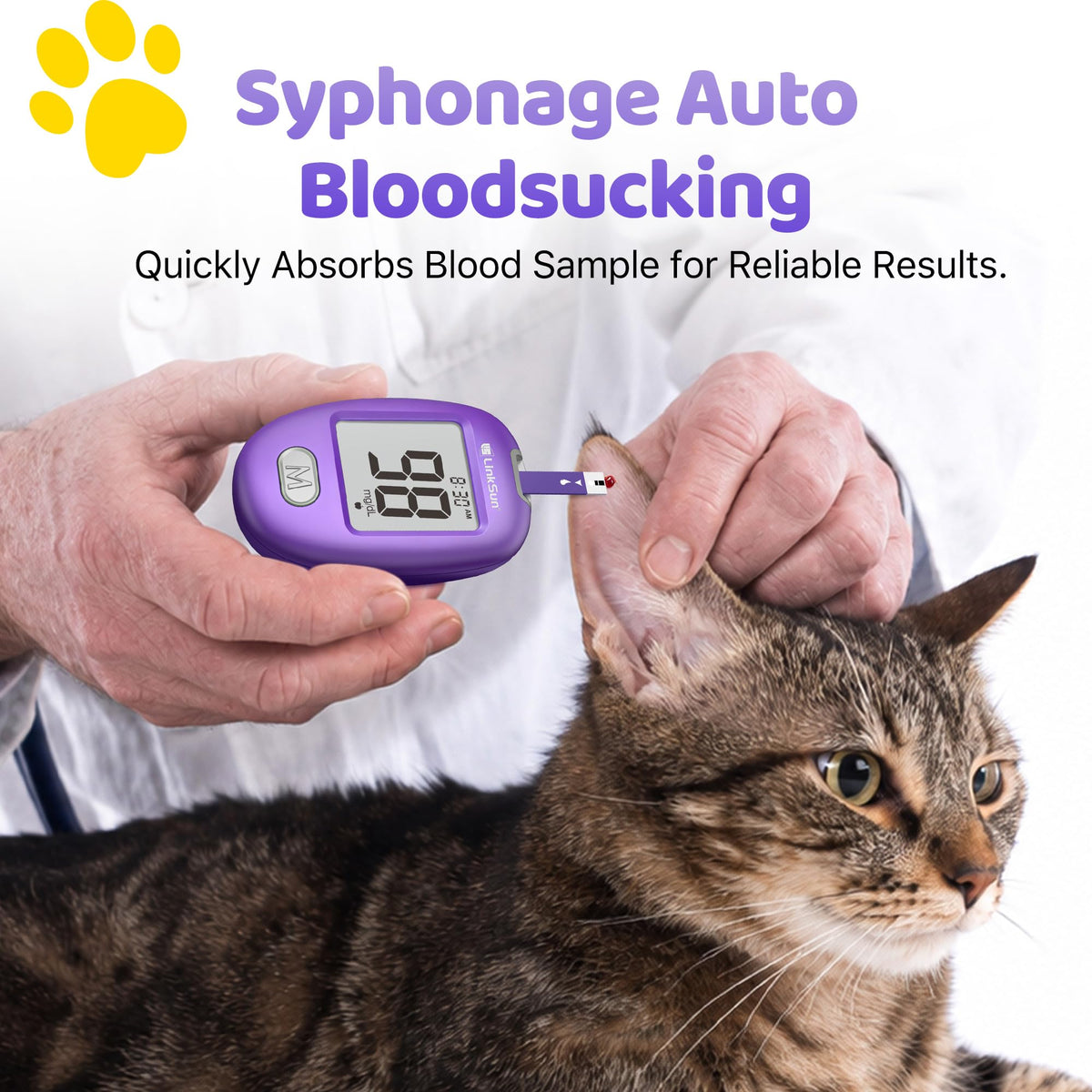 Pet Glucose Test Strip for Dogs & Cats, 100PCS F50513