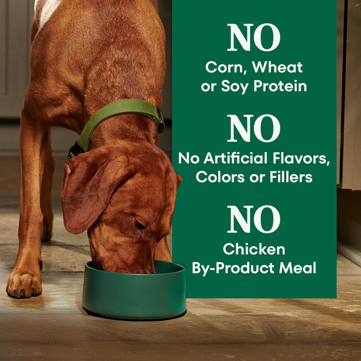 Adult Dry Dog Food, Lamb & Brown Rice Recipe, 36 lb P112
