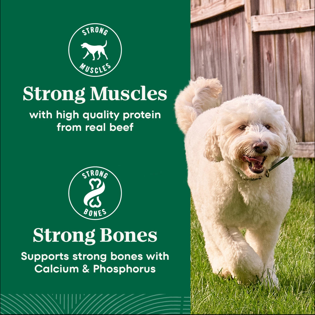 Adult Dry Dog Food, Lamb & Brown Rice Recipe, 36 lb P112