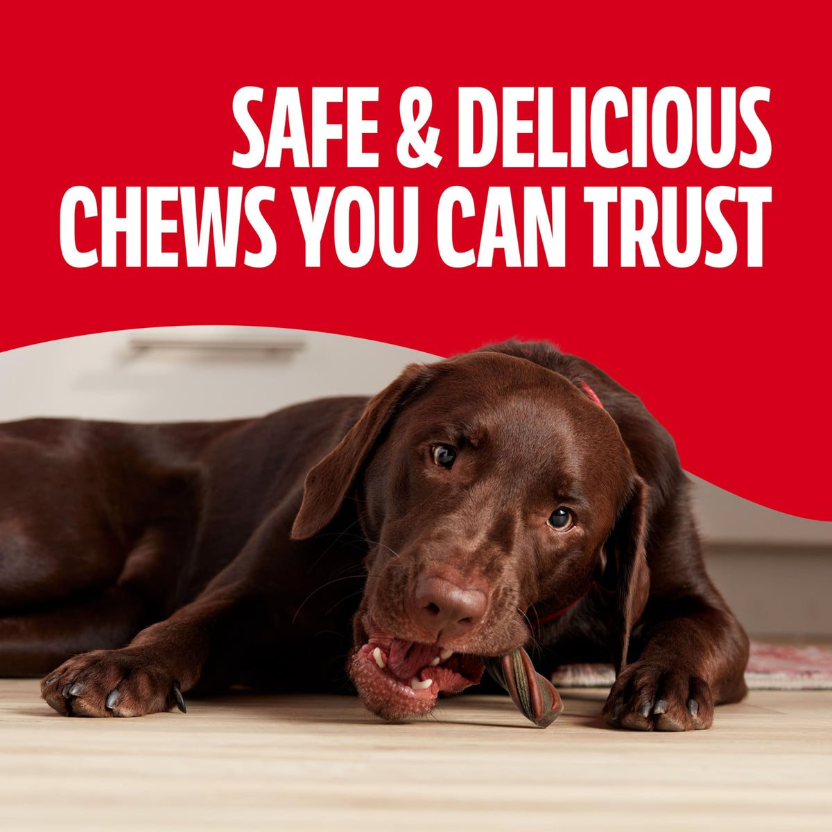 Real Beef Dog Chews F148328
