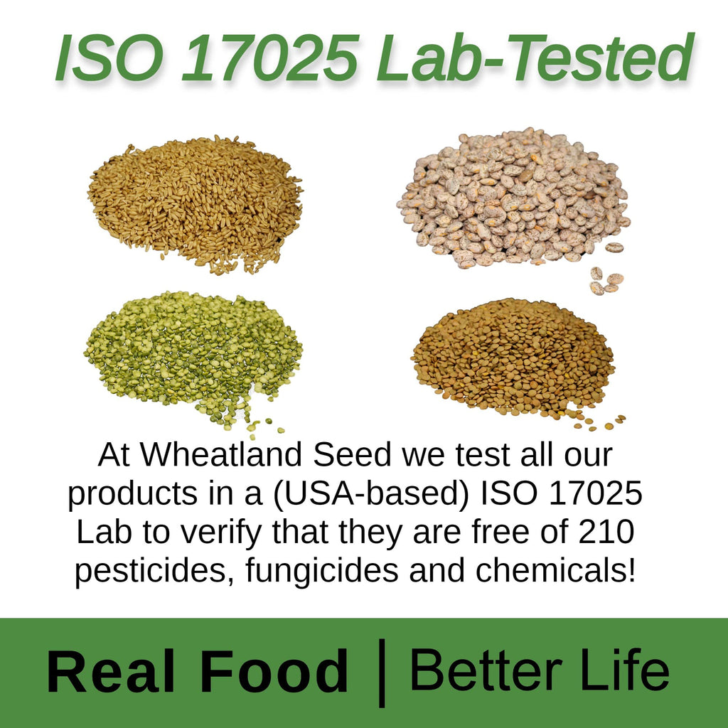 Soft White Wheat Berries 23 lbs Non-GMO T857652