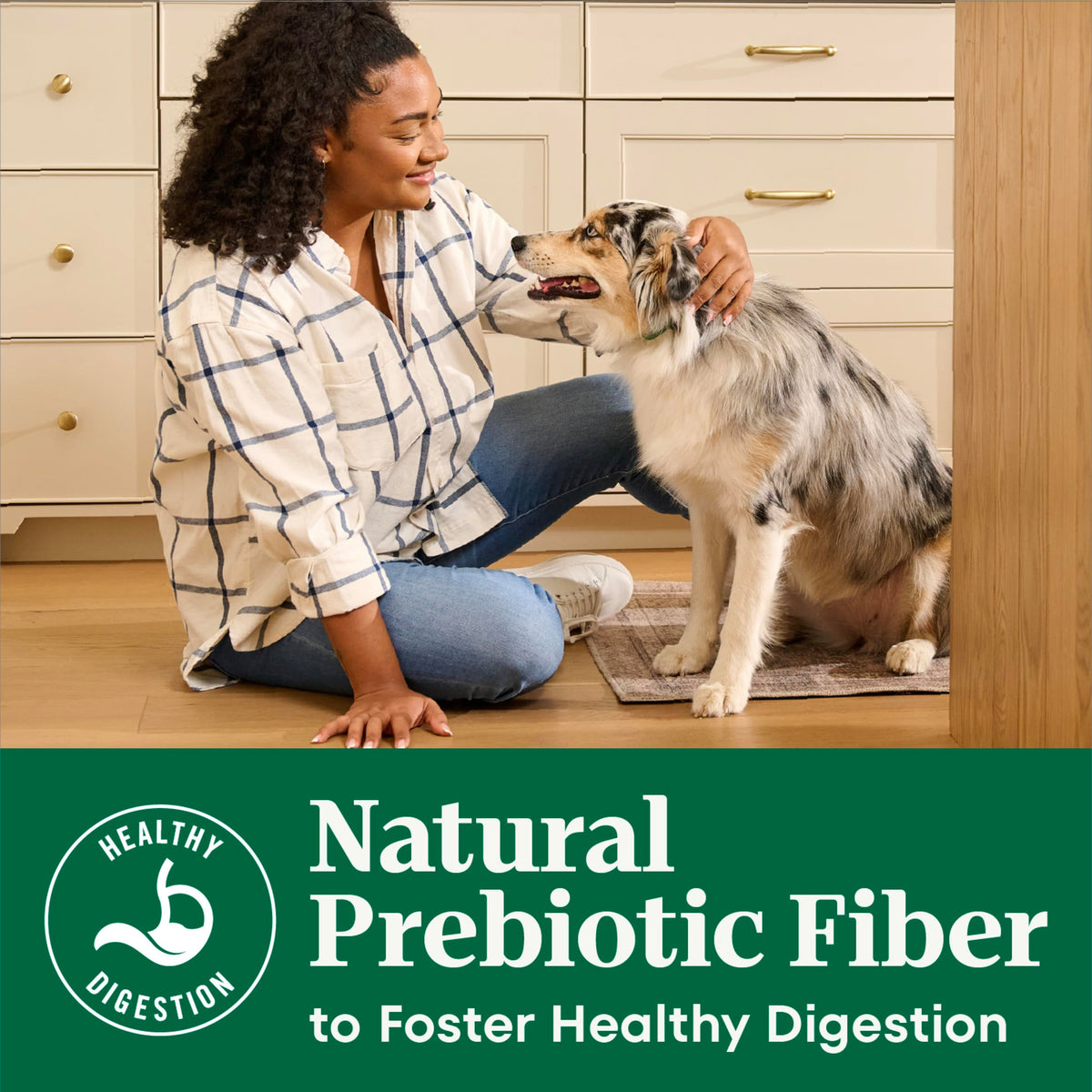 Adult Dry Dog Food, Lamb & Brown Rice Recipe, 36 lb P112