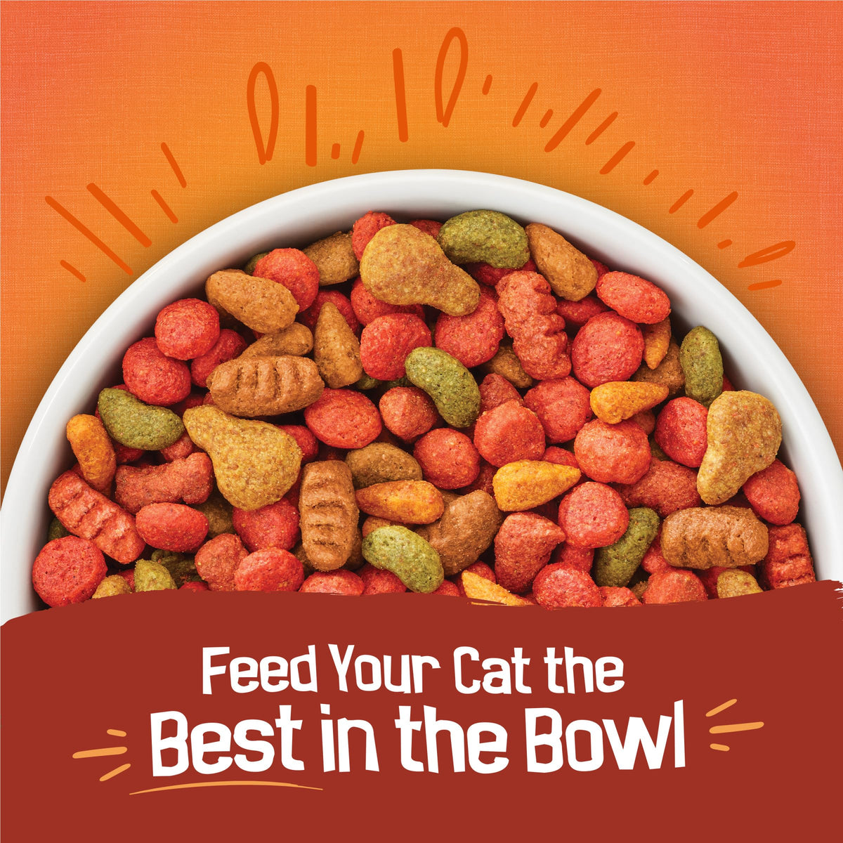 Dry Cat Food 16 lb Bag C152477