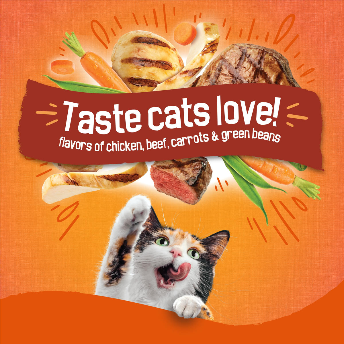 Dry Cat Food 16 lb Bag C152477